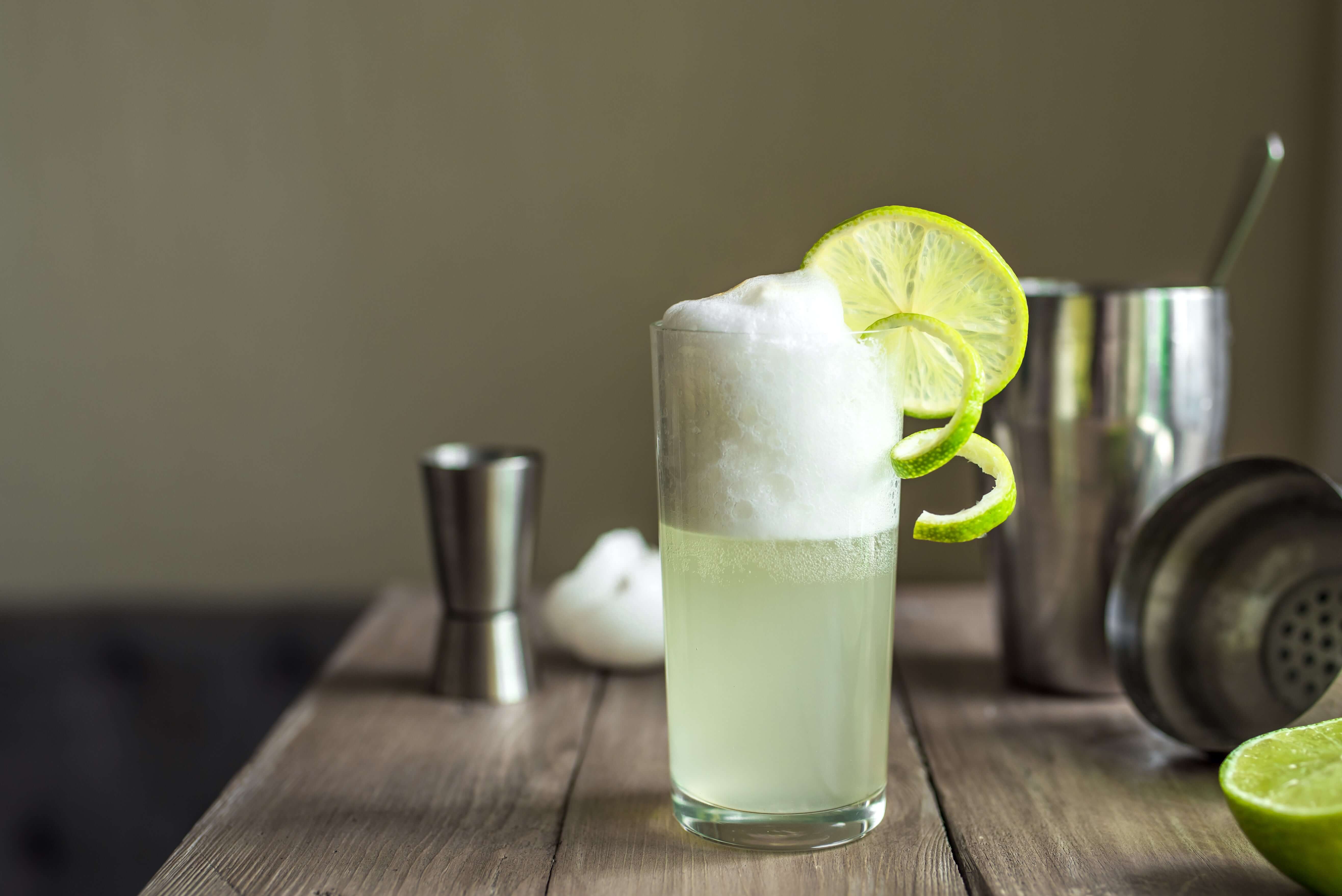 The Gin Fizz